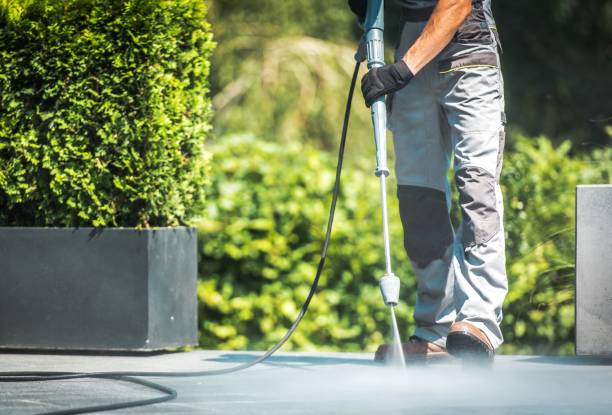 Animal Enclosure Cleaning in Cambridge, MN
