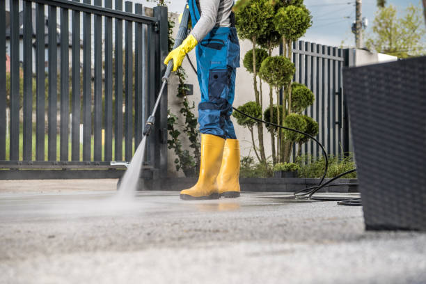Best Roof Washing  in Cambridge, MN
