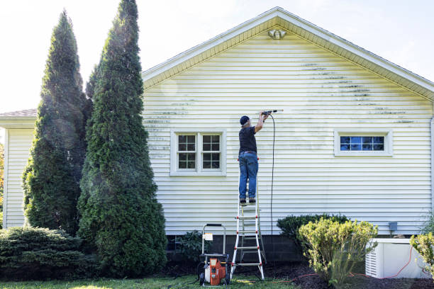 Best House Exterior Washing  in Cambridge, MN