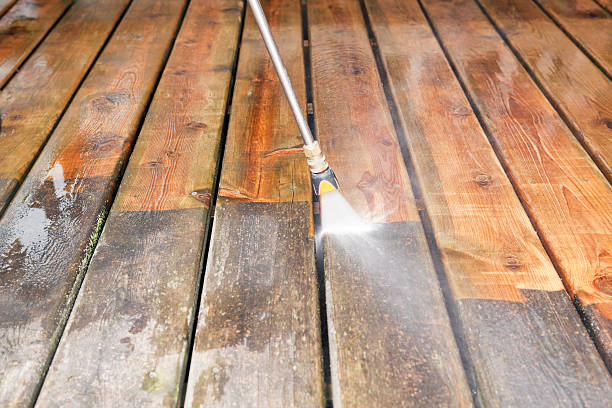 Best Solar Panel Cleaning  in Cambridge, MN