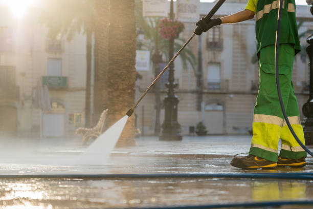 Best Building Exterior Washing  in Cambridge, MN